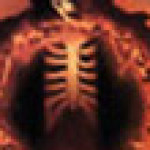 Profile picture of Guy