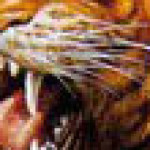Profile picture of Asdis