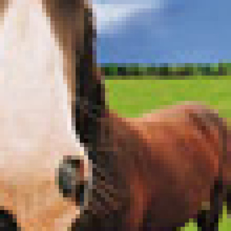 Profile picture of Igor