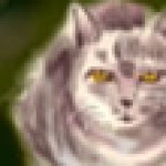 Profile picture of Wendelin
