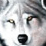 Profile picture of Rymgald