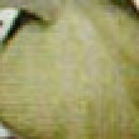 Profile picture of Emund