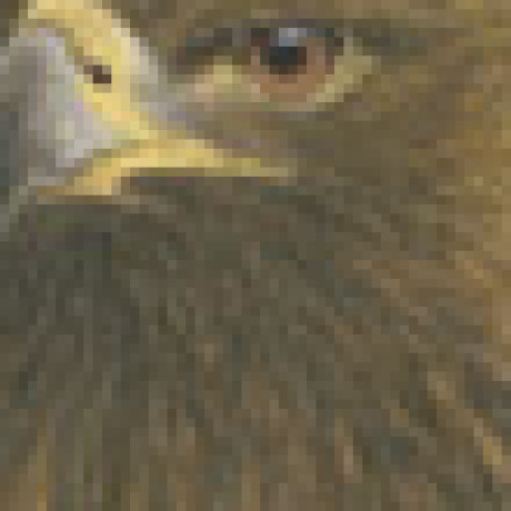 Profile picture of Gertrud