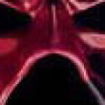 Profile picture of Gueorguier