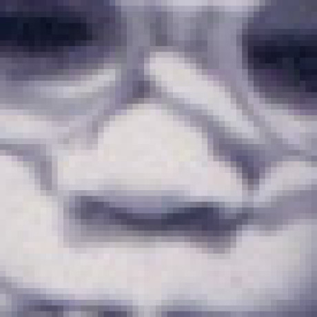 Profile picture of Elly