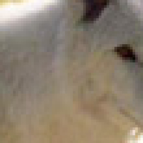 Profile picture of Uriasz